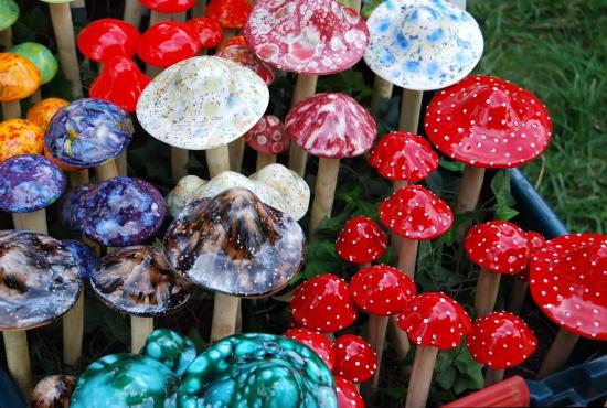 The Ultimate Guide to Buying Magic Mushrooms in Canada: Tips and Recommendations